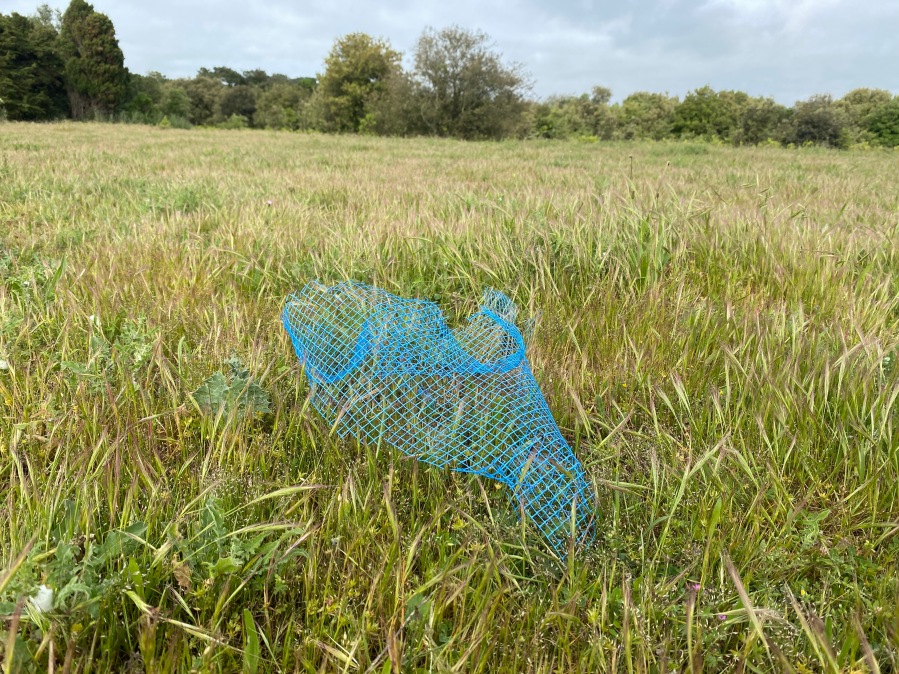plastique déchiqueté dans la nature sauvage de l'île de Ré